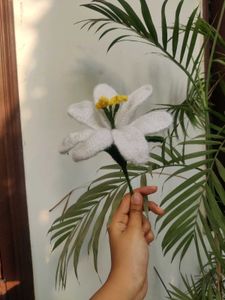 LILY FLOWER