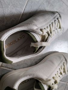 Sneaker for Men