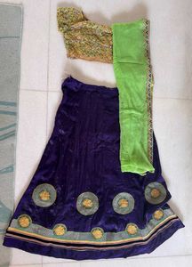 Purple & Green Lehenga Set with Embroidered Blouse