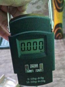 Digital Hanging Luggage Scale