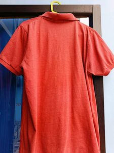 Carrot Colour XL Tshirt
