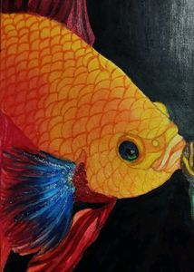 Betta Fish Painting On A4