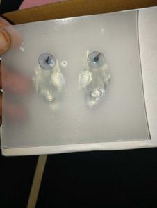 Rhodium Plated Artificial Stone Studs