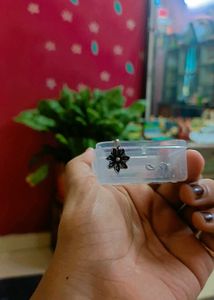 Silver Tone Nose Ring 6 Set