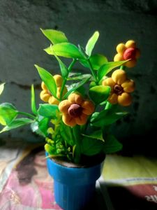 Clay Handmade Flowerpot