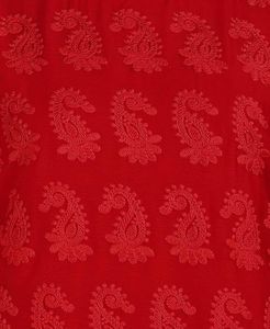 Chiffon Chikankari Kurti