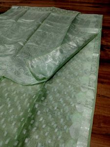 Mint Green Organza saree