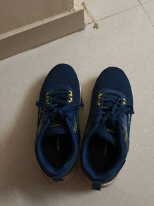 Campus Shoes Looks Like New