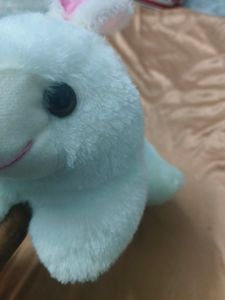 Rabbit Pluffy
