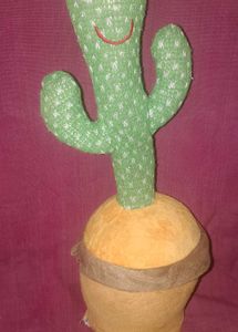 Singing Nd Dancing Cactus