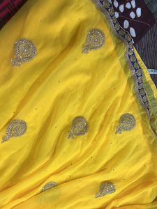 Beautiful Embroidered Ethnic Skirt