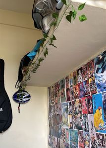 Anime Wall Posters