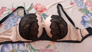 Padded Branded Bra 40E