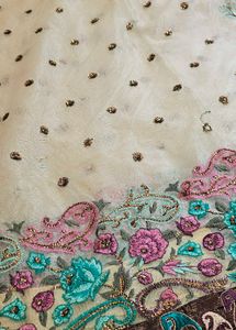 Elegant cream net saree