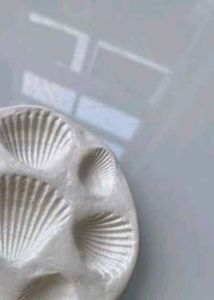 SEASHELL JEWELRY TRINKET