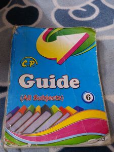 6th Class Guide (C.P)  All Subjects