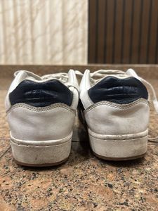 Converse Leather Sneakers