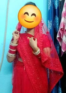 Red Net Saree
