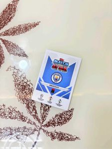 Erling Haaland Trophy Triumph Card