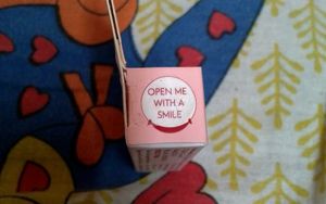 WishCare Ceramide Tinted Lip Balm SPF 50