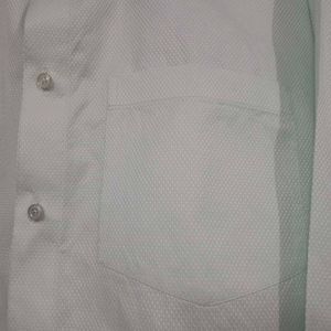 Mint Green Dress Shirt