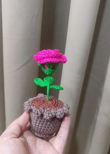Crochet Rose in Pot