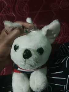 Cute Plush Dog Toy