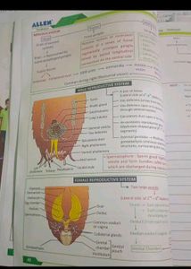 Biology NCERT Fast Track