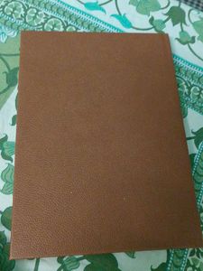 Left Over Last Year Diaries