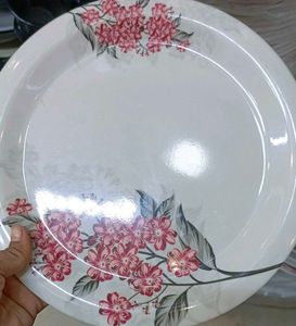 Dinner Plates