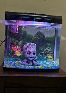 BluePet Fish Aquarium 🐟
