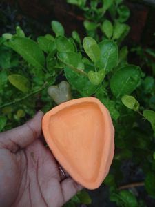 Trinket Dish