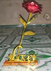 Show Piece 🫴🏻🩷