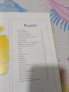Visual Dictionary