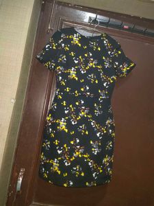 Women Imported Pants And Dress Free