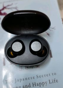 Realme Earbuds Not Working