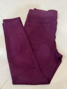 Maroon Casual Pants