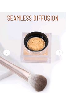 PAC S06 Powder Brush Totally New