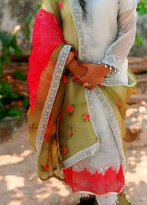 Elegant Embroidered Salwar Kameez
