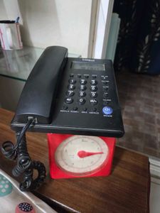 Landline Telephone