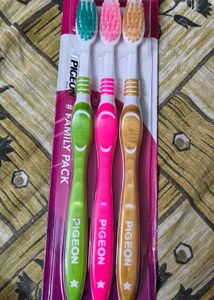 Pigeon Toothbrush (3-Pack)