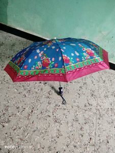 Umbrella