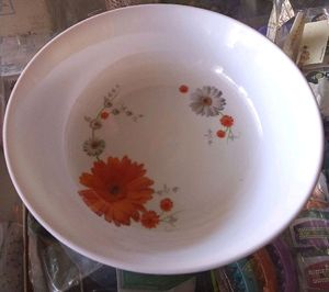 6 Bowl/ Floral Printed Bowl