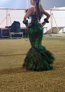 Peacock Feather Dress