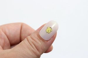 Pompompurin Nail Art Stickers