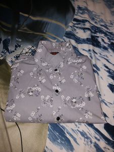 Best Shirt