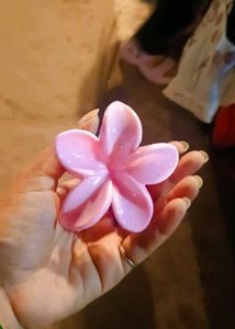 Pinterest Inspired Claw Clips