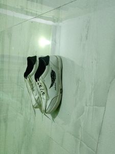 Casual Shoe, Not Wear Even Once... Brand New Conditions With Box Original.