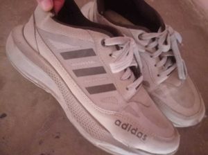 Adidas Sneakers