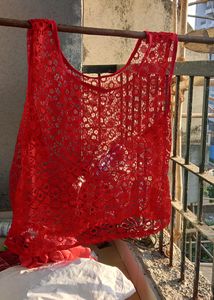 Red Net Crop Top!